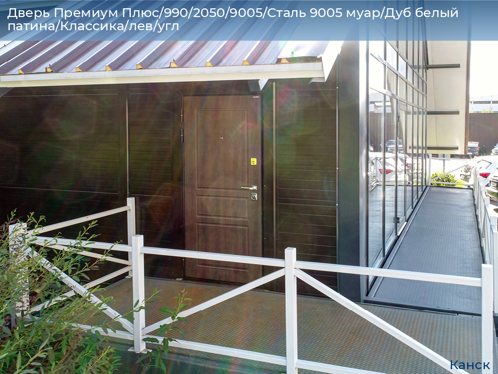 Дверь Премиум Плюс/990/2050/9005/Сталь 9005 муар/Дуб белый патина/Классика/лев/угл, kansk.doorhan.ru