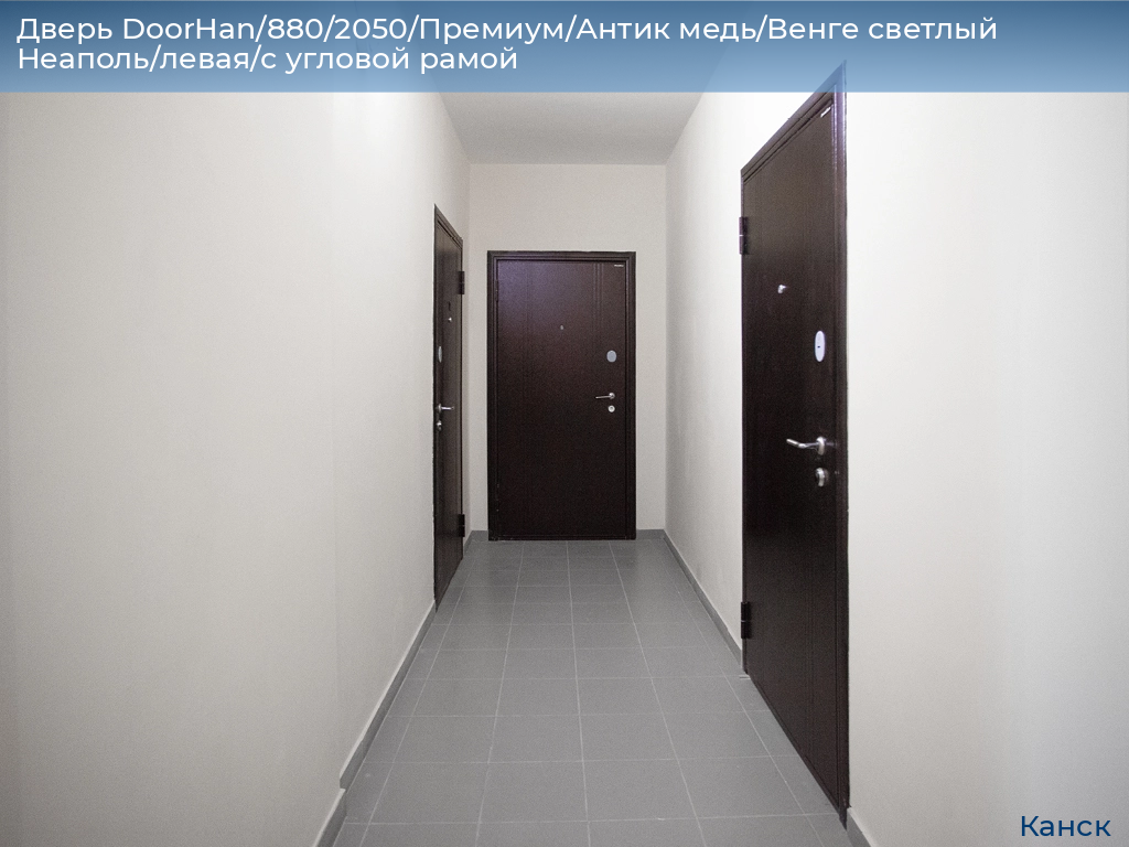 Дверь DoorHan/880/2050/Премиум/Антик медь/Венге светлый Неаполь/левая/с угловой рамой, kansk.doorhan.ru