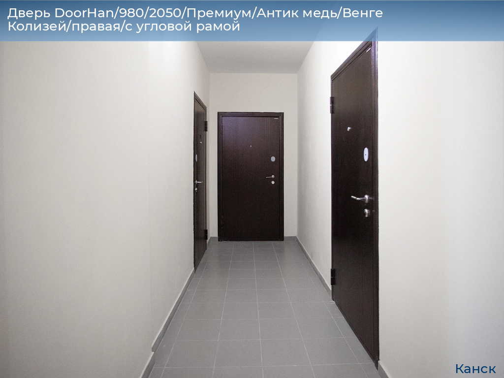 Дверь DoorHan/980/2050/Премиум/Антик медь/Венге Колизей/правая/с угловой рамой, kansk.doorhan.ru