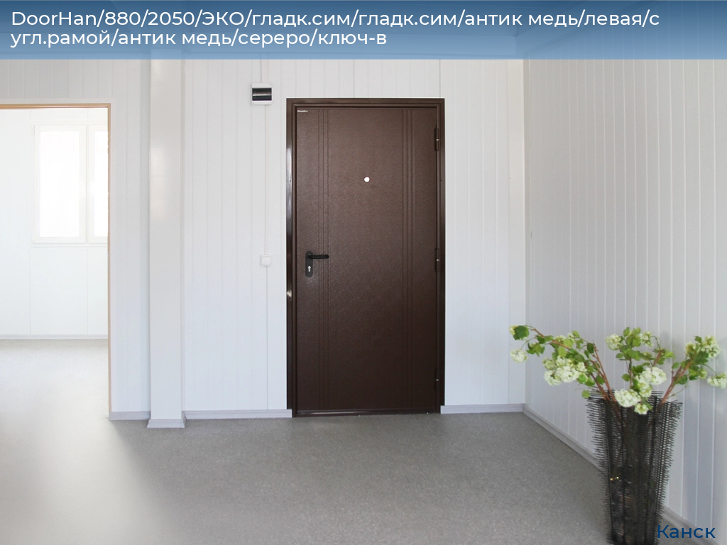 DoorHan/880/2050/ЭКО/гладк.сим/гладк.сим/антик медь/левая/с угл.рамой/антик медь/сереро/ключ-в, kansk.doorhan.ru