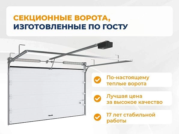 Секционные ворота 2500х2200 мм белые DoorHan RSD02, kansk.doorhan.ru